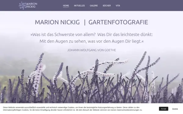 marion-nickig.de