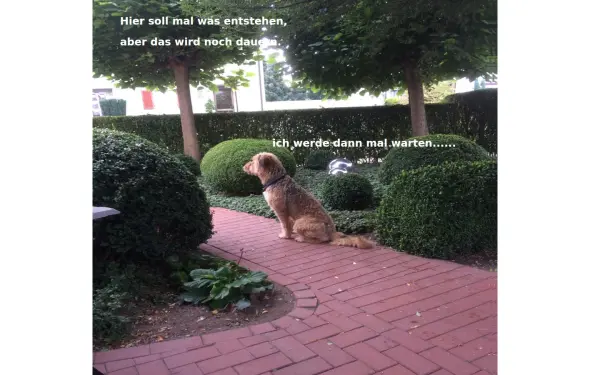 4lieske.de