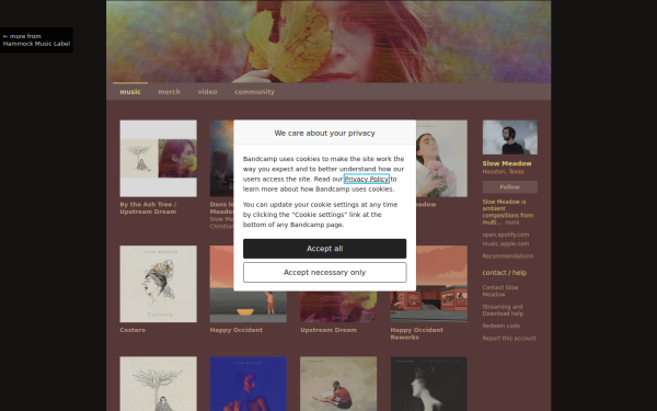 slowmeadow.bandcamp.com