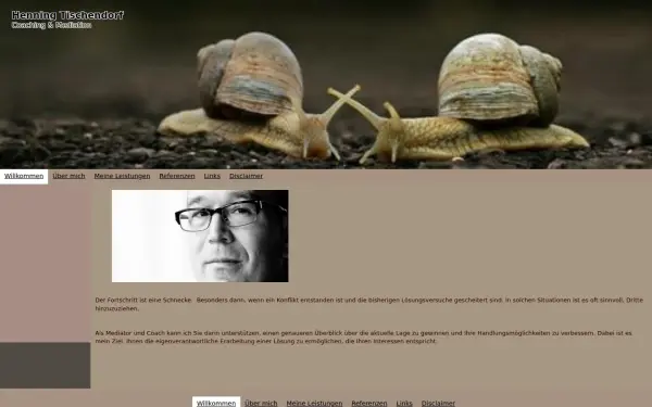 henning-tischendorf.de