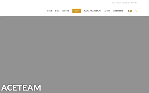 aceteam.de