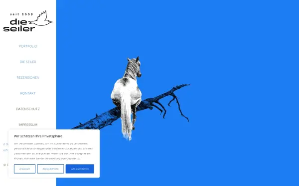 dieseiler.com