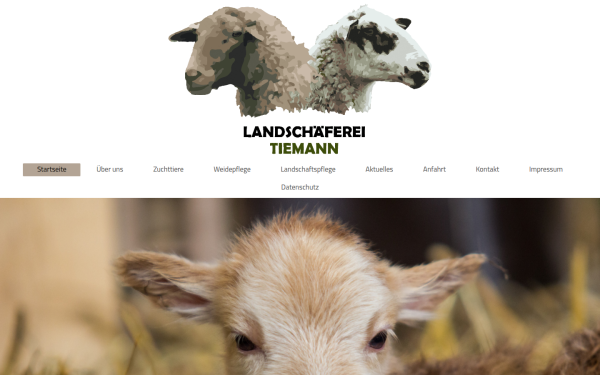 www.mt-uedem.de