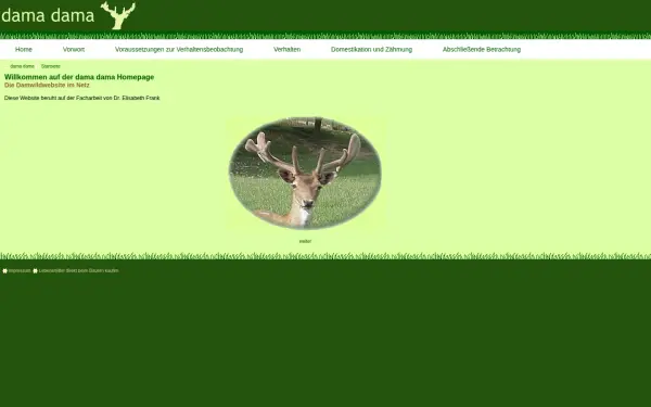 damadama.de