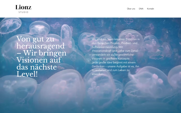 www.lionz-studio.com