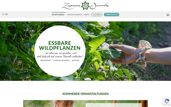 www.zusammensammeln.de