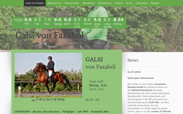 www.galsi.de