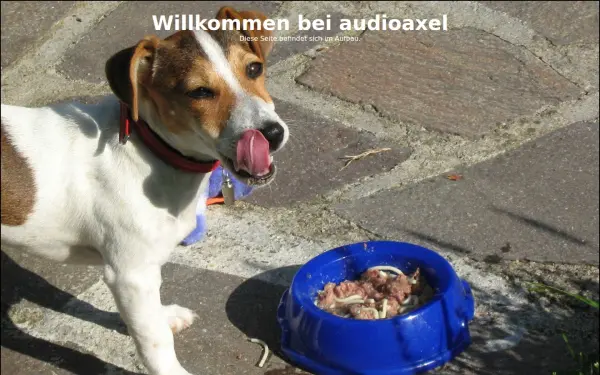 audioaxel.de
