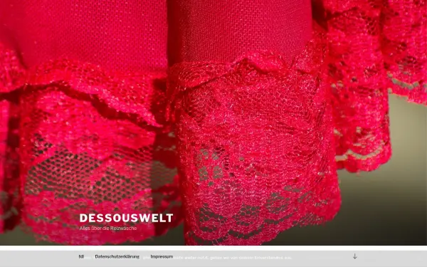 www.dessous-welt24.de