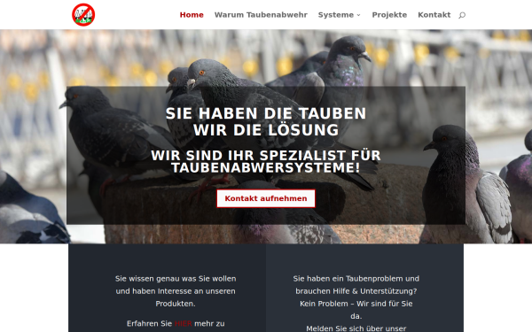 allex.de