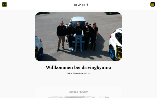 drivingbynino.ch