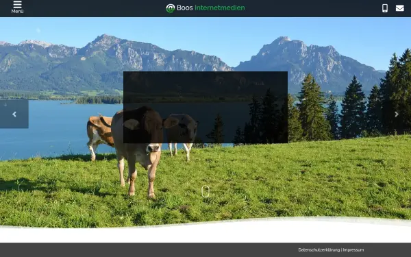 www.boos-internetmedien.de