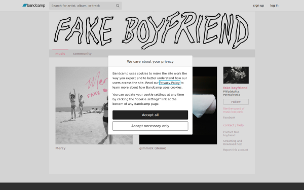 fakeboyfriend.bandcamp.com