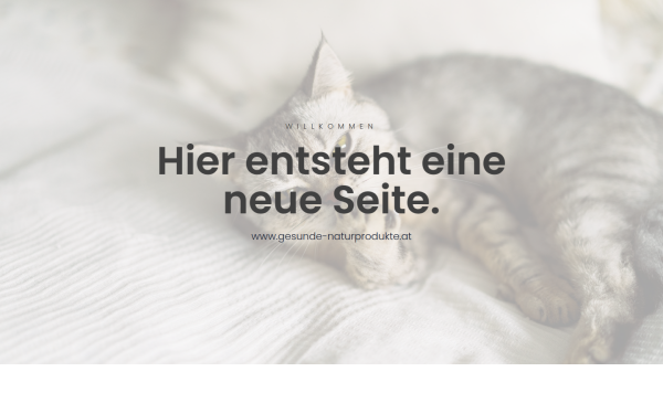 gesunde-info.at