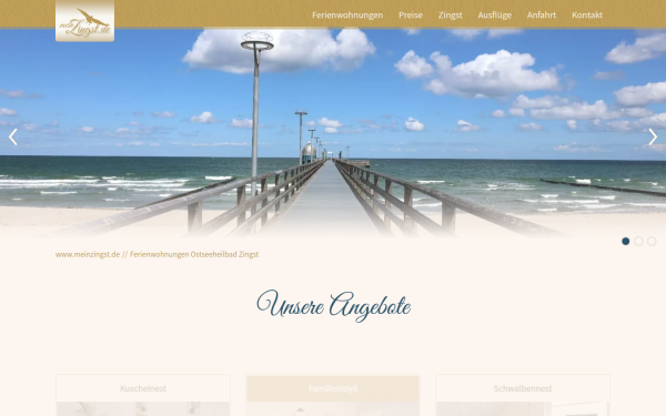 www.meinzingst.de