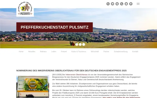 pulsnitz.de