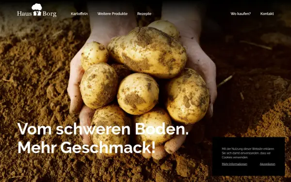 haus-borg.de