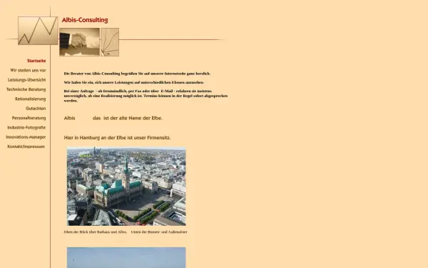 albis-consulting.de