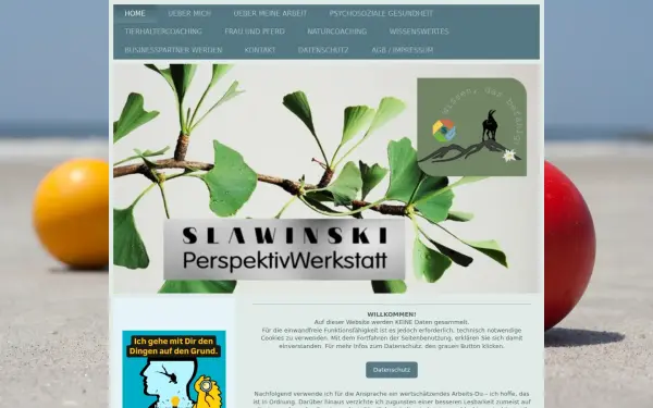 www.slawinski-perspektivwerkstatt.de