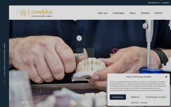 condylus.de