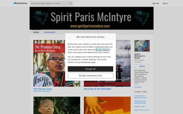 spiritmcintyre.bandcamp.com