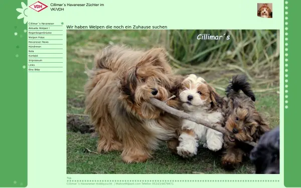 havaneservomheidhorstsee.de