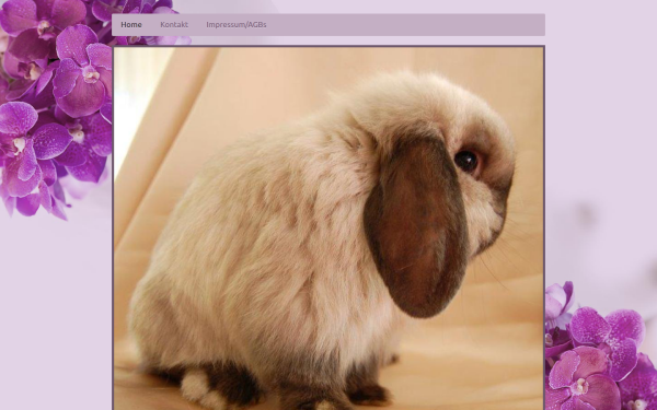 www.miniwidder.de