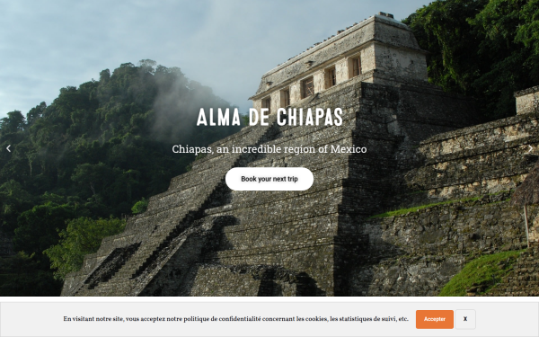 alma-de-chiapas.com