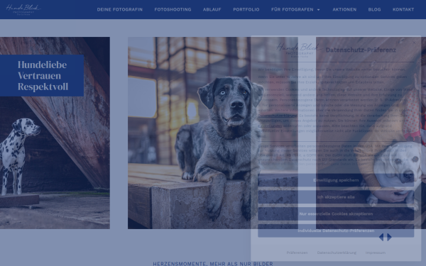 www.hundeblick-photography.com