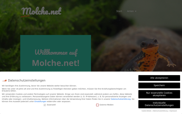 molche.net