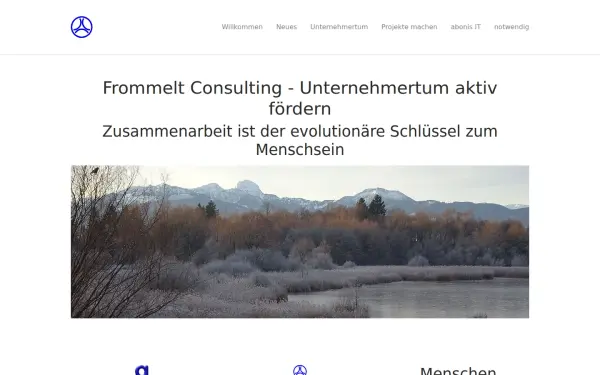 frommelt.consulting
