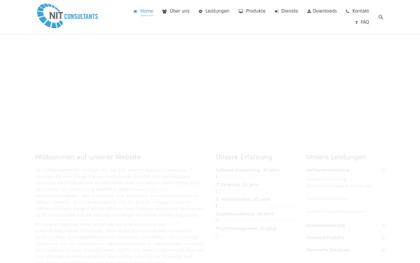 nit-consultants.de