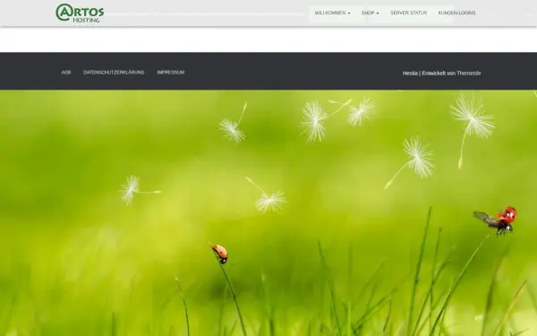artos-hosting.de