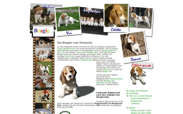 deister-beagle.de