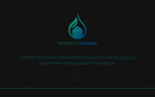 www.perfect-cleaner.de