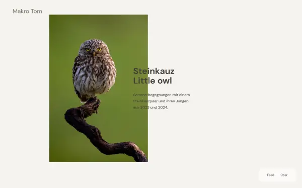 makro-tom.de