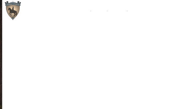 www.authentische-reitkunst.com