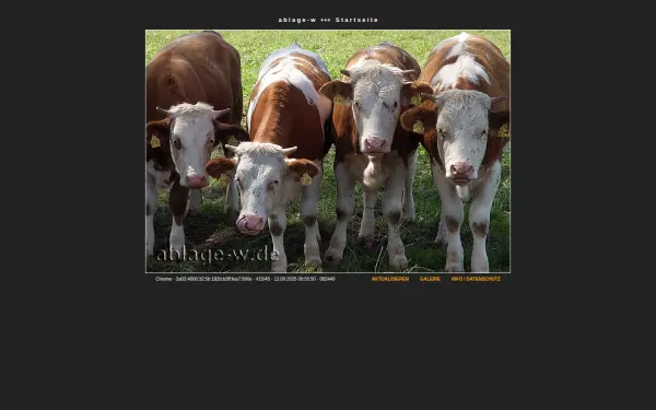 ablage-w.de