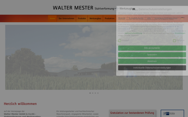 walter-mester-gmbh.de