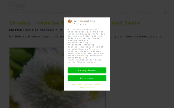 shiatsu-impulse.de