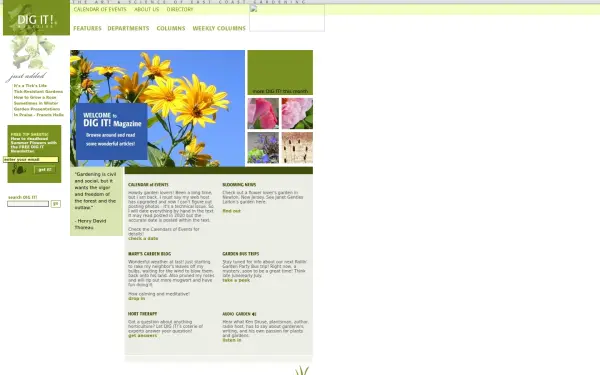 dig-itmag.com