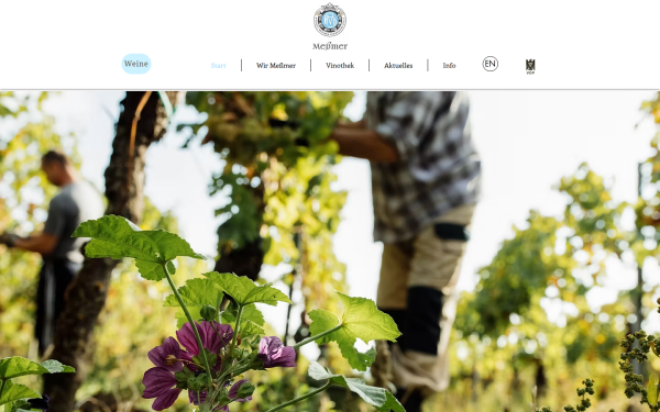www.weingut-messmer.de