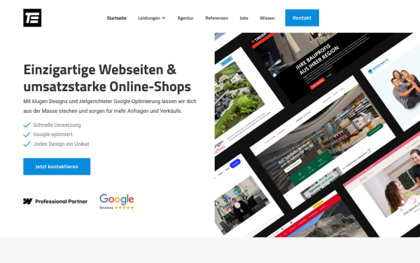 www.te-web.ch