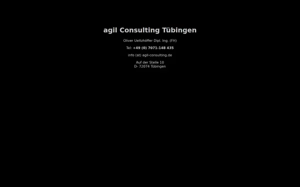 agil-consulting.de