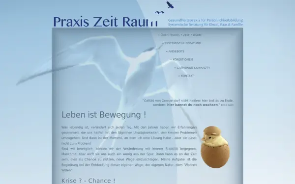 dr-cc.de