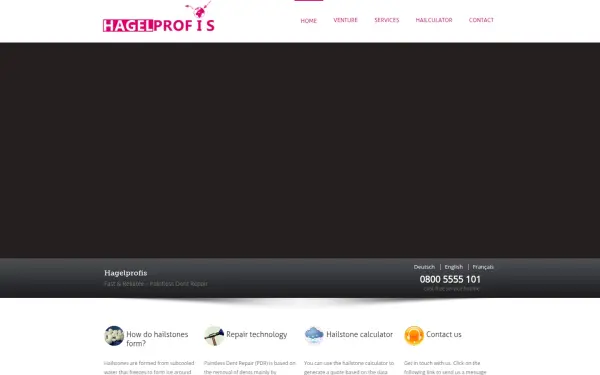 www.hagelprofis.de
