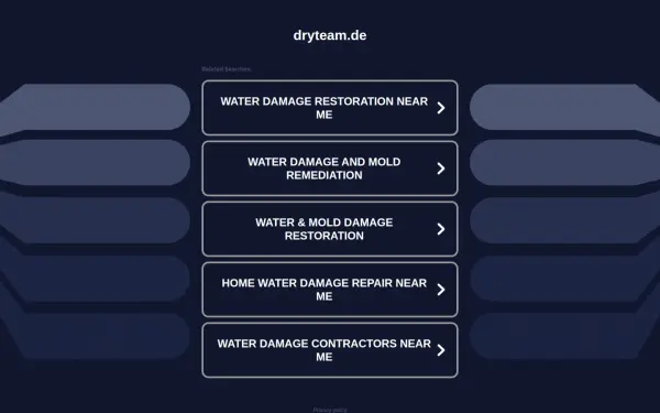 dryteam.de