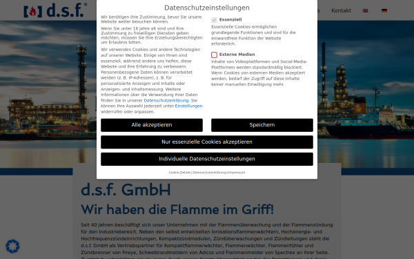 www.dsfgmbh.de