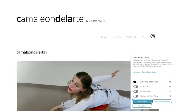 www.camaleondelarte.com