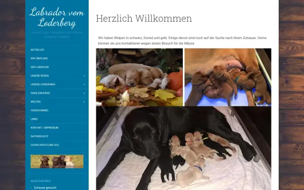 www.labrador-vom-loderberg.de